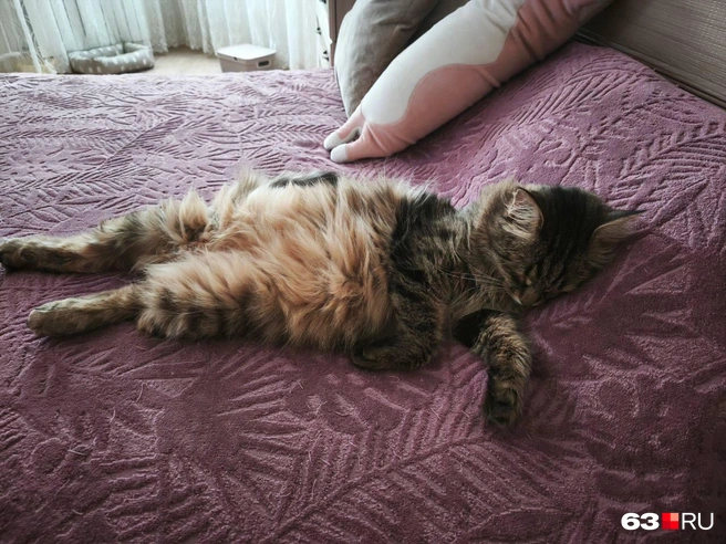 Кому-то в любое время года очень отдыхательно | Источник: читатель 63.RU