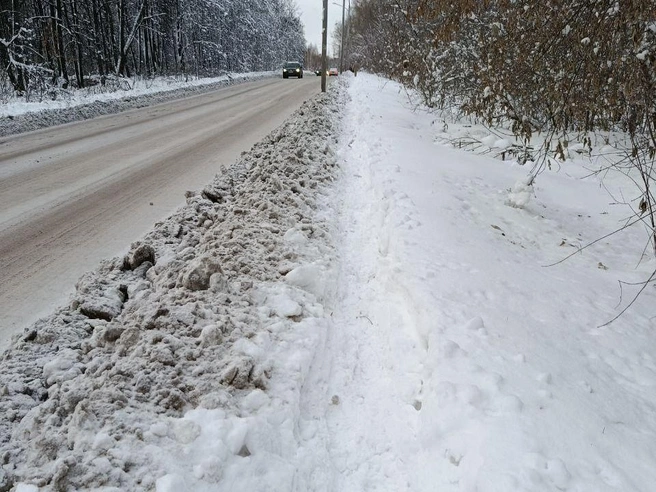 Единственная возможность пройти — по узкой тропе | Источник: читатели НГС