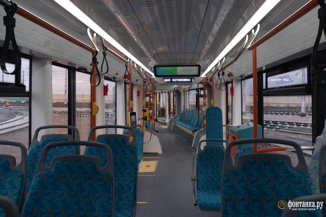 Источник: Сергей Николаев / «Фонтанка.ру»