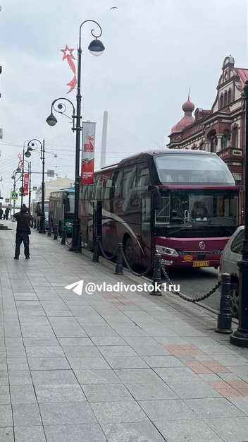 Источник: Елена Буйвол / VLADIVOSTOK1.RU