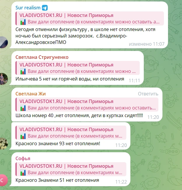 Источник: VLADIVOSTOK1.RU / T.me