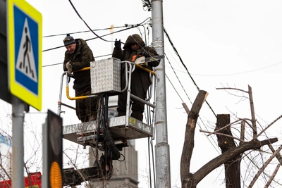 В Красноярске снова начнут сносить деревья в центре