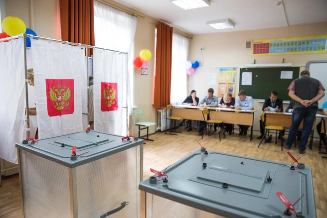 Заявки на дистанционное электронное голосование (ДЭГ) подало 2 млн человек | Источник: Александра Мамонтова / 76.RU