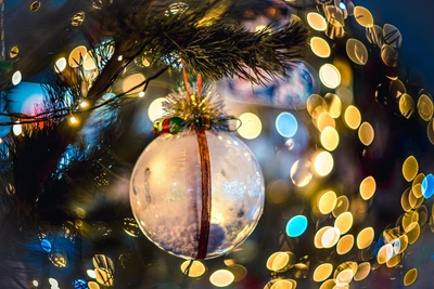 Хаос на Михайловском: подростки испортили новогоднюю елку