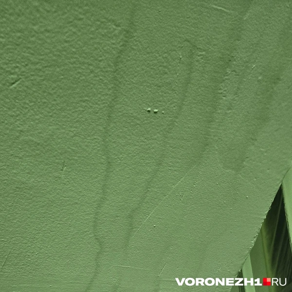 Источник: Читатель Voronezh1.ru