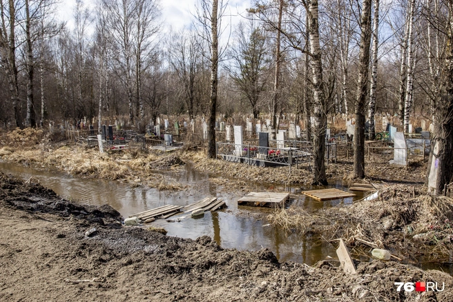 Власти отмечают, что уже начали установку дренажа | Источник: Александра Мамонтова / 76.RU