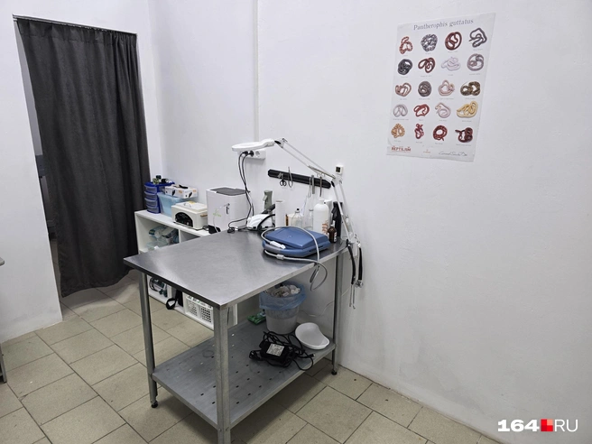 Операционный стол | Источник: Семен Коротов-Майбах / 164.RU