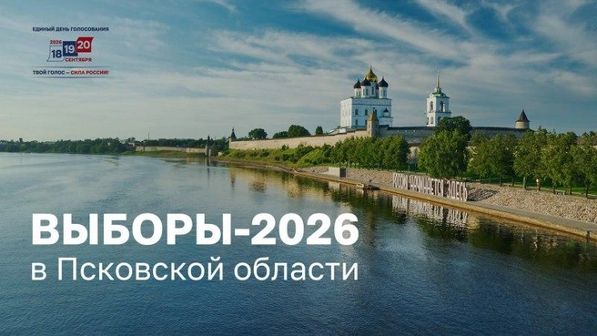 В Псковской области стартовал прием заявлений на ДЭГ | Источник: pskov.ru