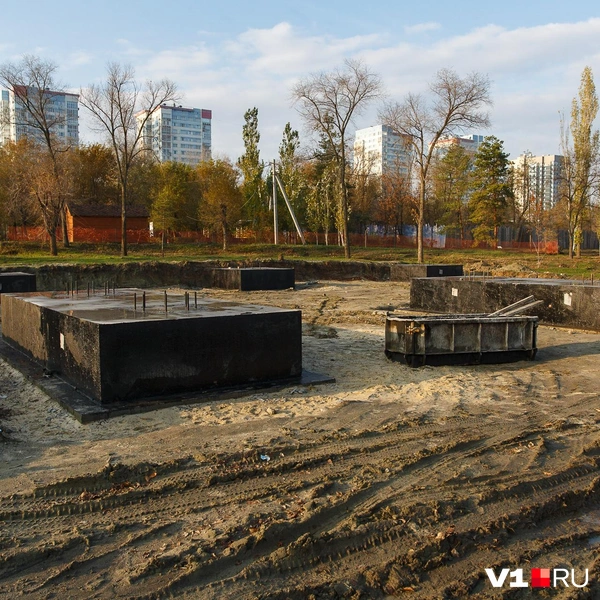 Источник: Алексей Волхонский / V1.RU