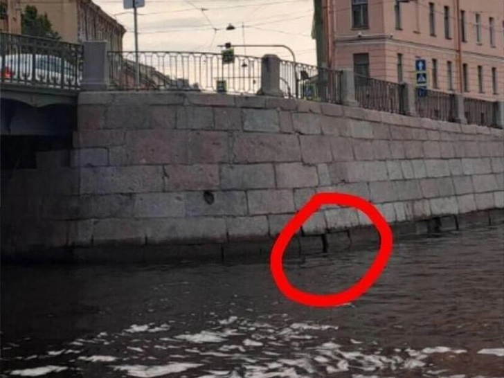 Кот спрятался между булыжниками, которые предлагают разобрать