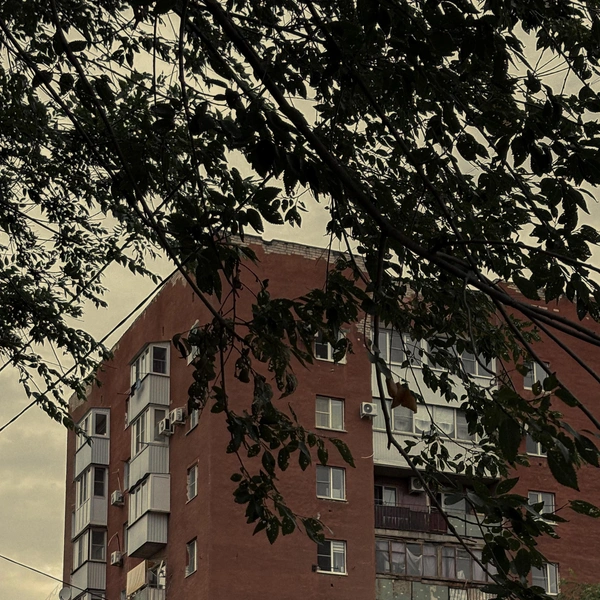 Источник: scherbakova.ph / Instagram (соцсеть запрещена в РФ)