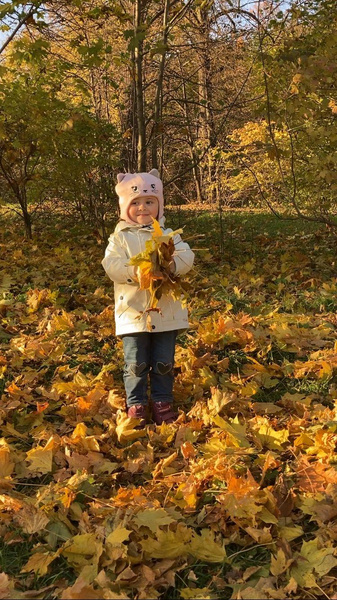 Детский конкурс «Осенний гербарий»: объявляем итоги