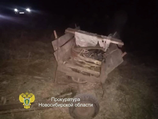 Предварительно, наездник отцепил повозку и скрылся на коне | Источник: прокуратура Новосибирской области