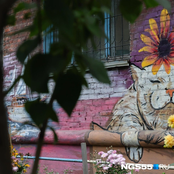 Котик блаженствует | Источник: Евгений Софийчук / NGS55.RU