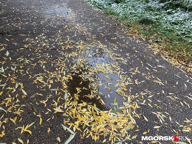 К обеду в городе распогодится | Источник: читатель MGORSK.RU