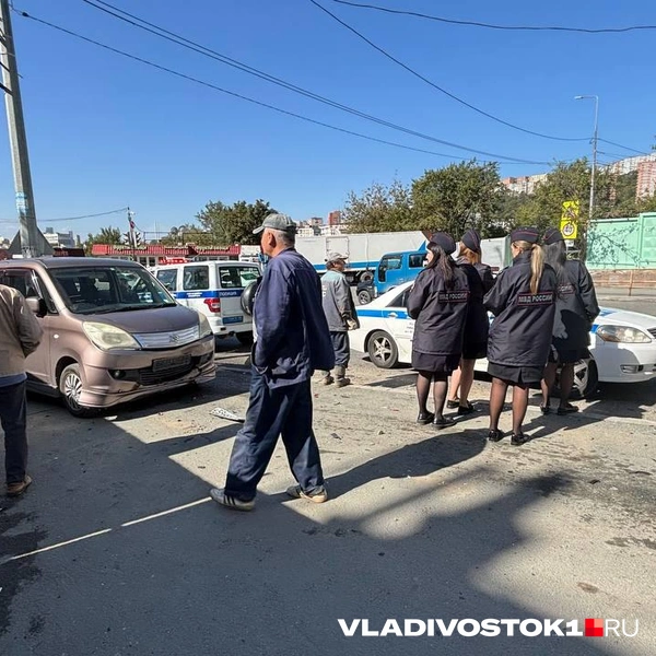 Источник: Елена Буйвол / VLADIVOSTOK1.RU