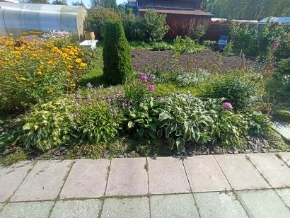 Источник: предоставлено участником конкурса