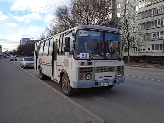 В Димитровграде хотят поднять стоимость проезда в транспорте: УФАС просят разобраться | Источник: Дмитрий Сильнов / 173. RU