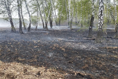 В Калачинске проверили воздух после пожара на мусорном полигоне