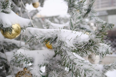 Icy rain and snow retreat, but more precipitation expected in Kuban