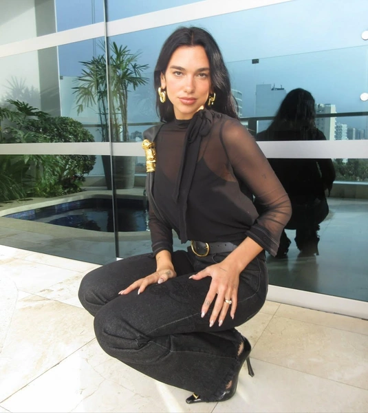 Источник: dualipa