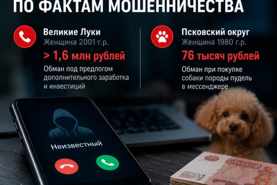 В Псковской области возбудили дела о мошенничестве