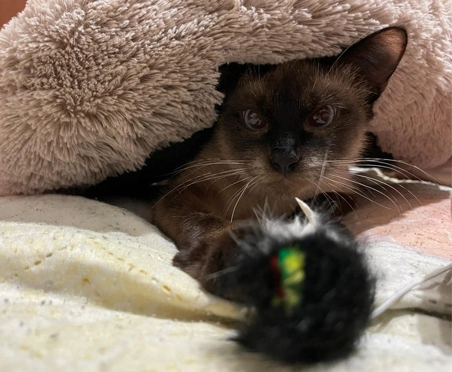 Источник: Нина Владимировна