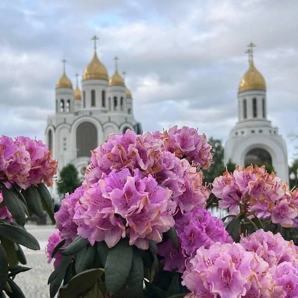 Источник: «Финист Трэвел»