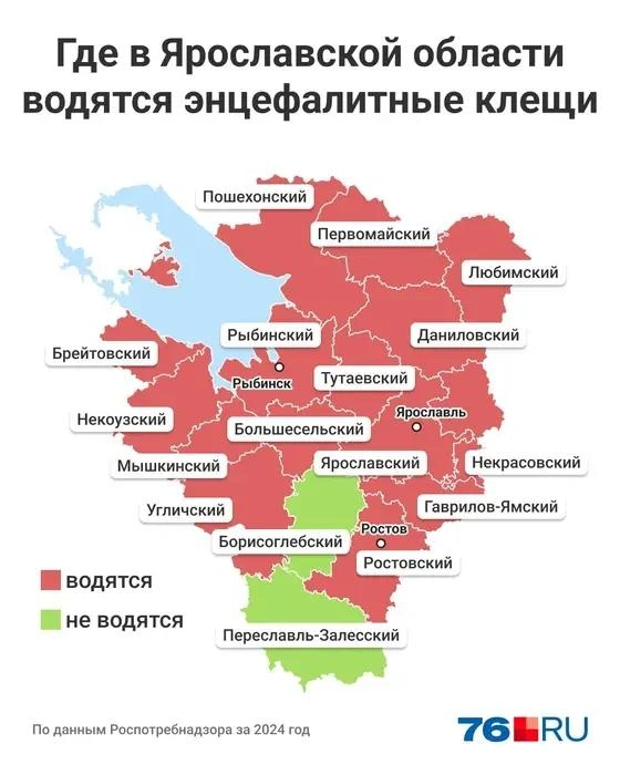 Карта распространения энцефалитных клещей в Ярославской области | Источник: Мария Романова / Городские медиа
