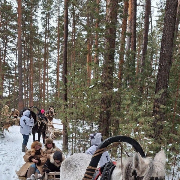 Вариант с санями подойдет и пожилым туристам, и обладателям богатых форм, и маленьким детям | Источник: Вячеслав Карманов