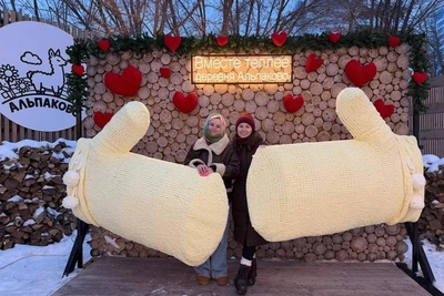 В Волгограде установили гигантские вязаные варежки