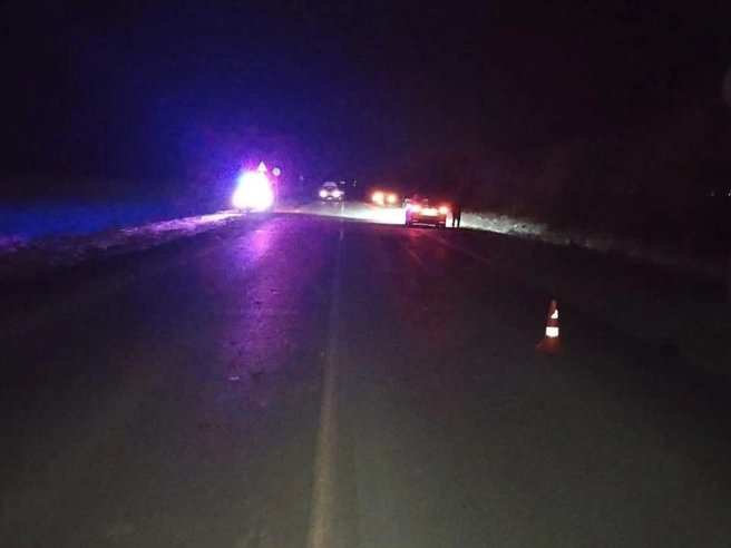 ДТП случилось в вечернее время на территории Новосибирской области | Источник: Госавтоинспекция Новосибирской области