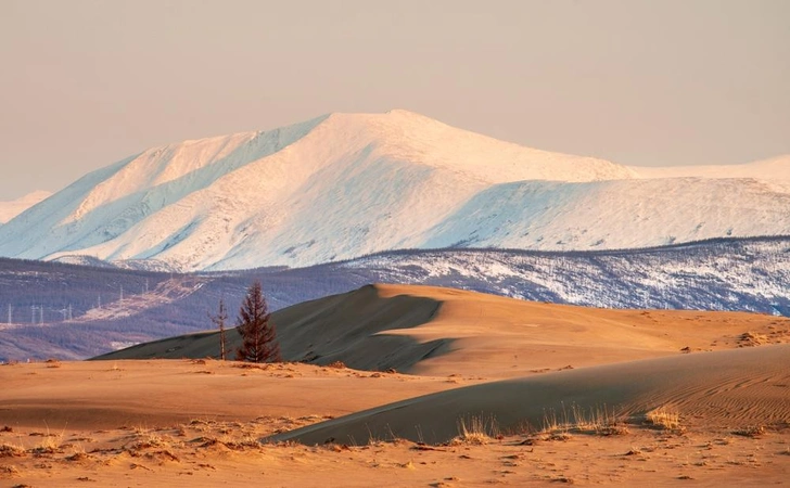 Источник: Bastrik/Shutterstock/Fotodom.ru