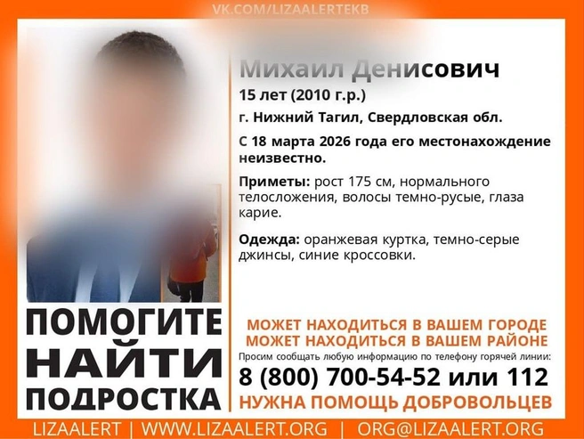 Источник: поисковый отряд «ЛизаАлерт» Свердловской области