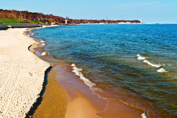 Песок и море: как с пользой и удовольствием провести время в Калининграде и окрестностях