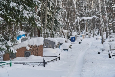 Mystery of Block 108: Unidentified Burials in Novosibirsk