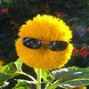 userpic__Ната