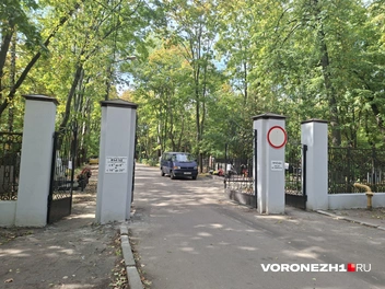 Источник: Алёна Воропаева / Voronezh1.ru