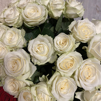 Аватарка Вероничка