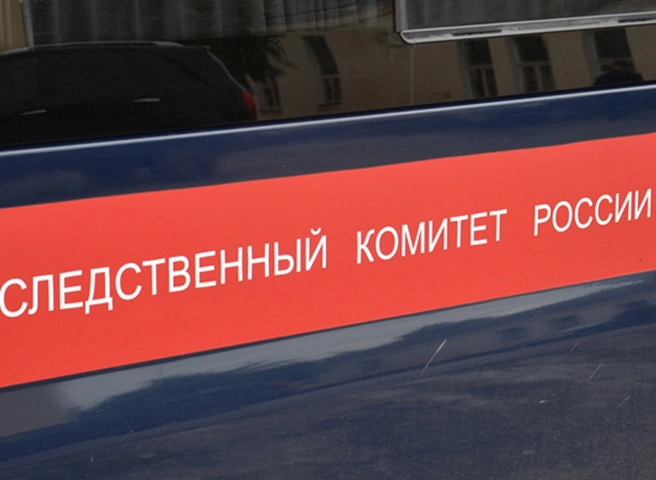 В Следкоме рассказали, как погиб пятилетний мальчик на улице Новаторов | ya62.ru