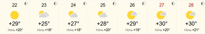 На выходных в регионе ожидается +30 градусов | Источник: world-weather.ru