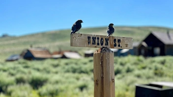 Источник: Patrick Reynolds via Unsplash