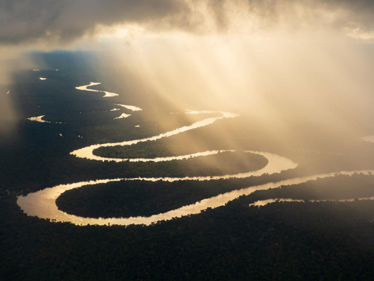Лес у реки: как люди Амазонки продолжают жить в отрыве от цивилизации и в гармонии с природой