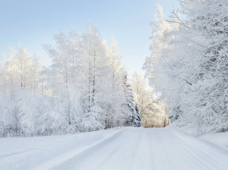 Let it snow: самые снежные страны