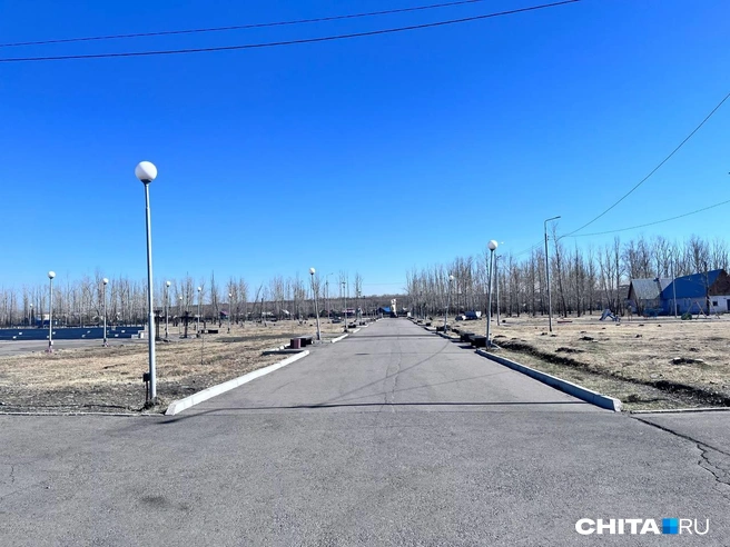 Источник: Александр Хамраев / CHITA.RU