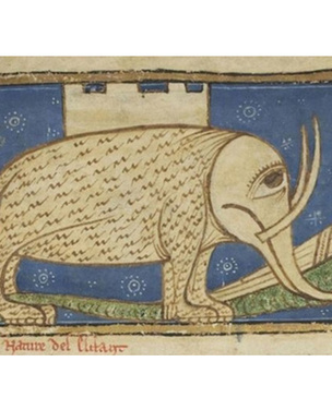 Как средневековые люди представляли себе слонов (15 вариантов)