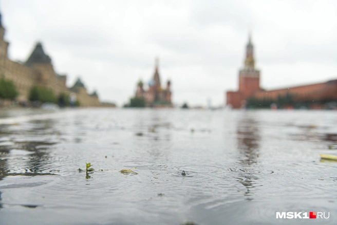 Москву и область ждут дожди | Источник: Артём Устюжанин / MSK1.RU