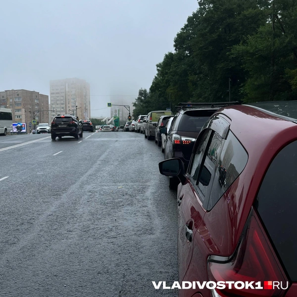 Источник: Елена Буйвол / VLADIVOSTOK1.RU