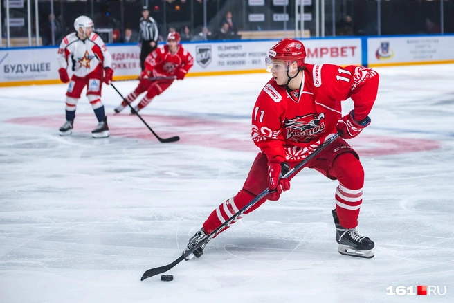 Источник: Евгений Вдовин / 161.RU