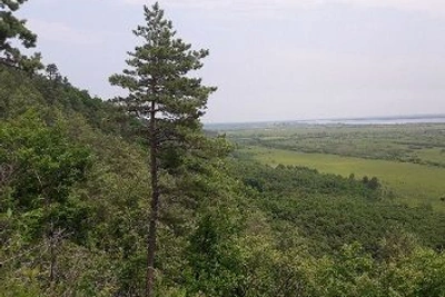 Минлес Амурской области набирает общественных инспекторов